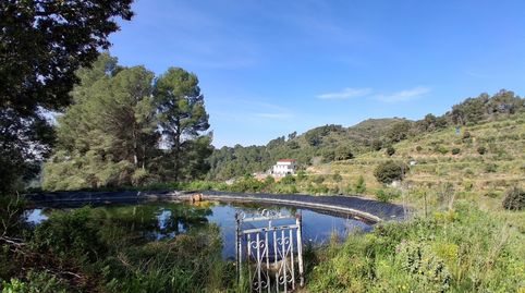 Foto 5 de Finca rústica en venta en Avinguda de Montclar, 170, Riudecanyes, Tarragona