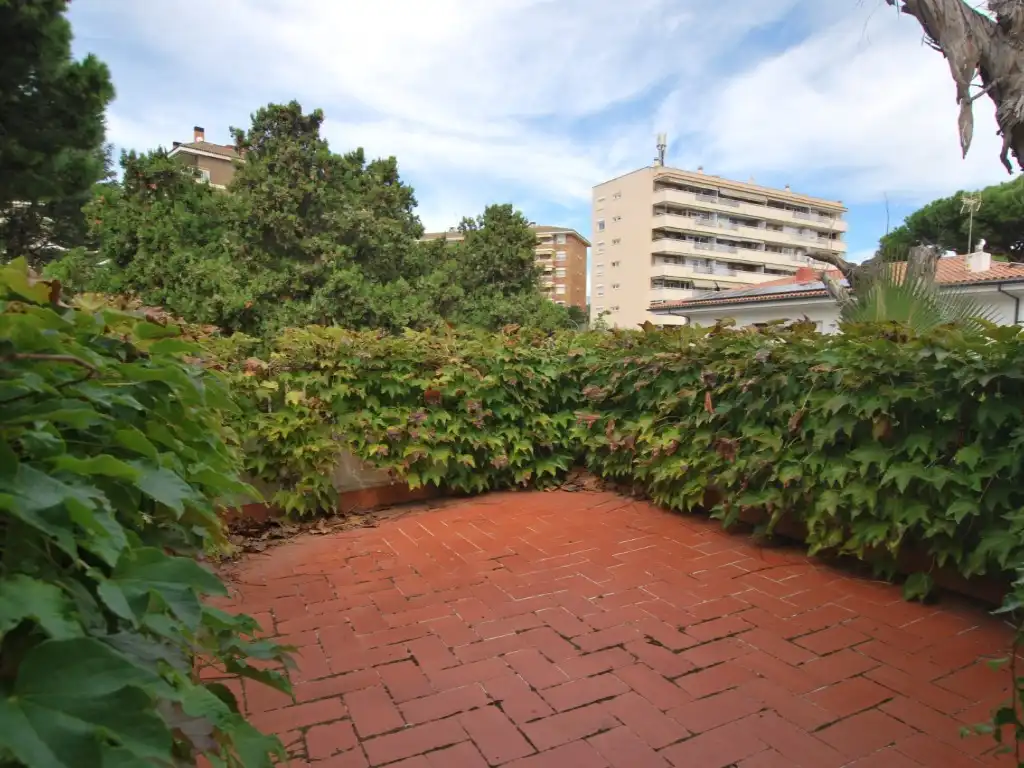 Houses for rent in Centre