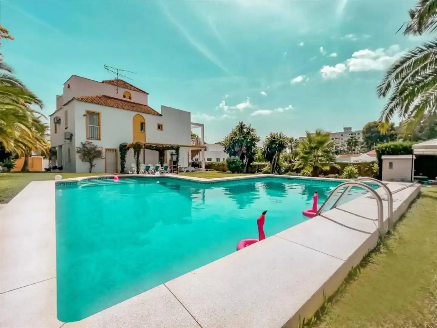 Piscina de Casa o xalet de lloguer en Nueva Andalucía