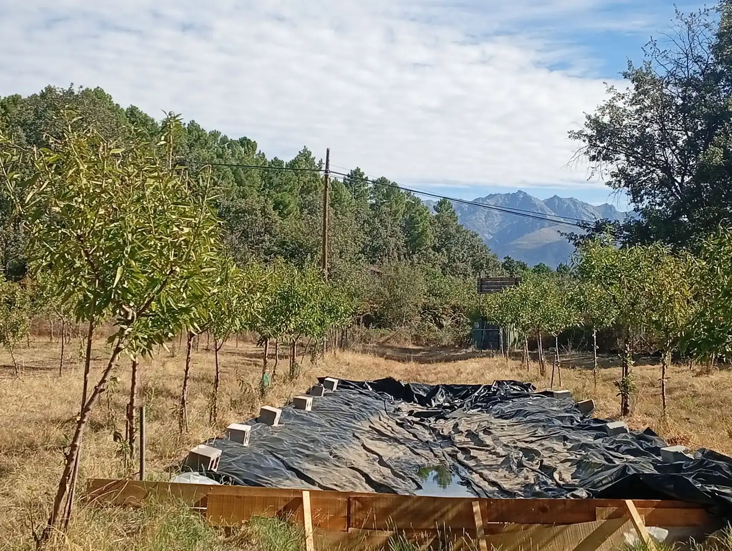 Terrain rustique à vendre à Villanueva de la Vera, imagen 28