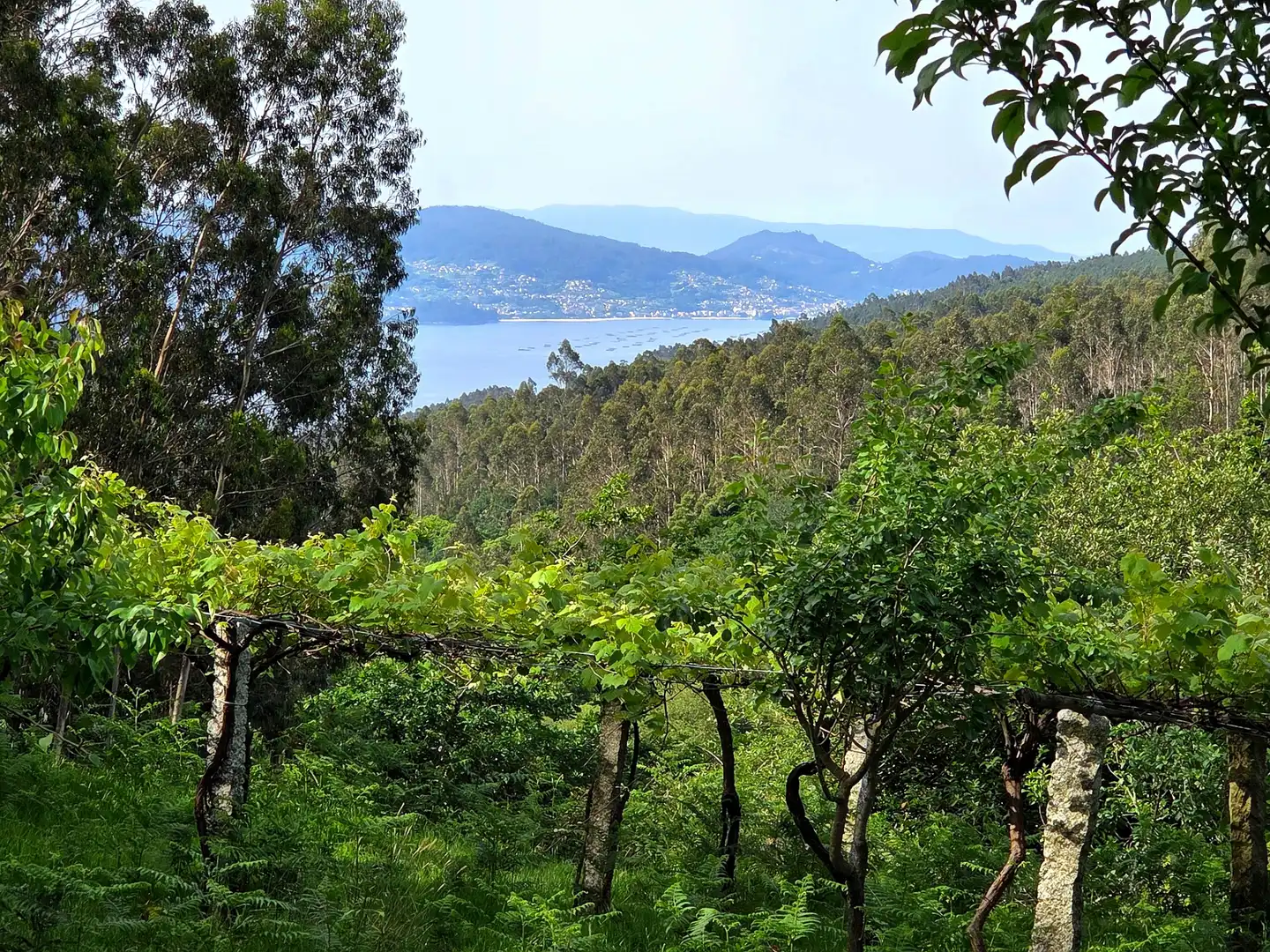 Finca rústica en venta en Meis con Jardín privado y Terraza