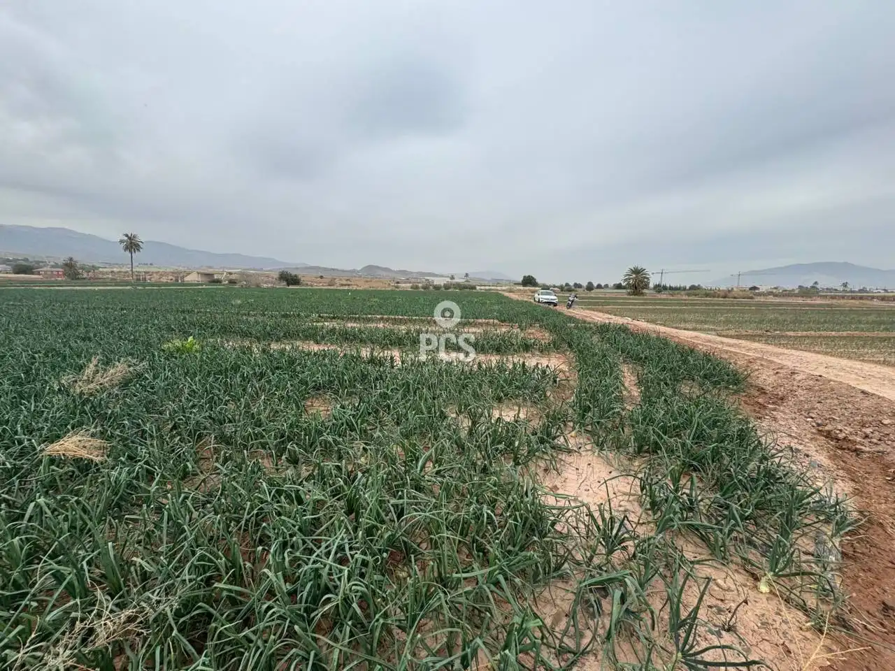 Terreny rústic en venda a Camino Huertos Nuevos Zona Ñorica S/N, imagen 5