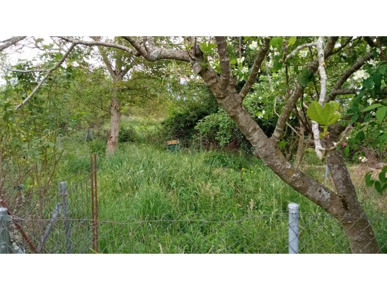 Finca rústica en venda en A Rúa 