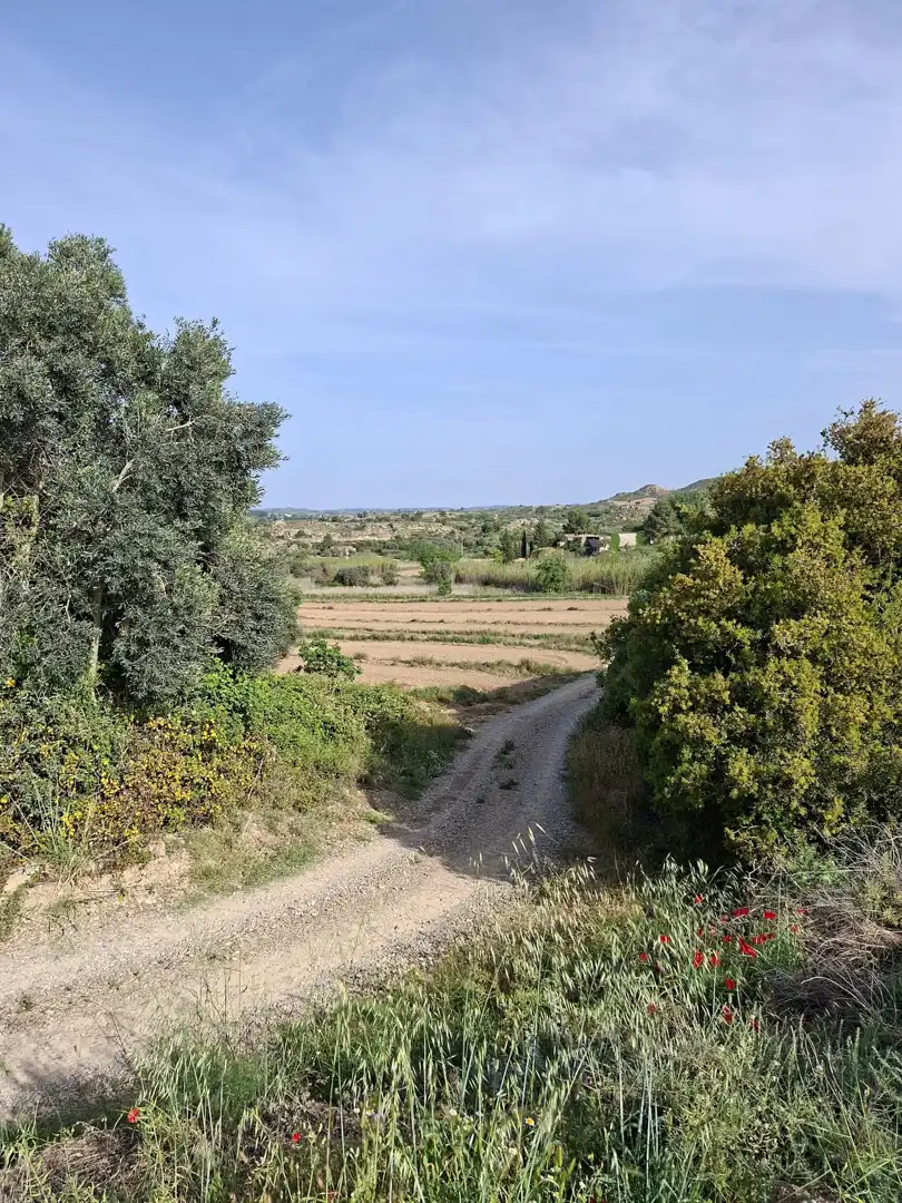 Finca rústica en venda en Caspe