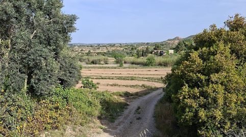 Foto 2 de Finca rústica en venda a Caspe, Zaragoza