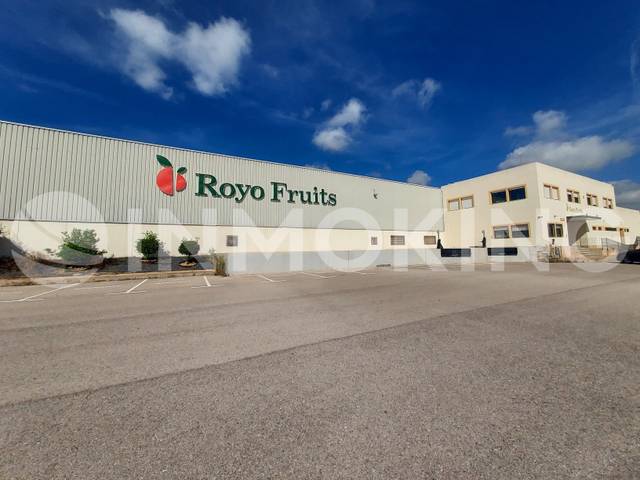 Nave industrial en Alquiler en Poligono 50, 220 en Partidas de interior - Zona Rústica