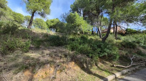 Immagine 1 dell'annuncio