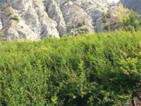 Rustikales Grundstück zum Verkauf in Calle Alta 24, imagen 3