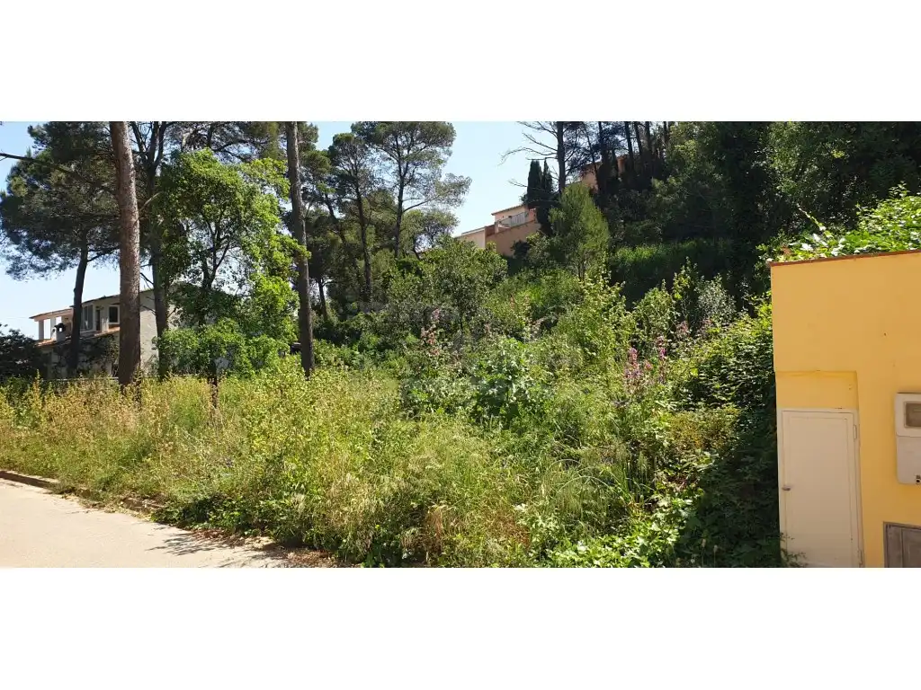 Terrain résidentiel à vendre à Platja de Pals, imagen 6