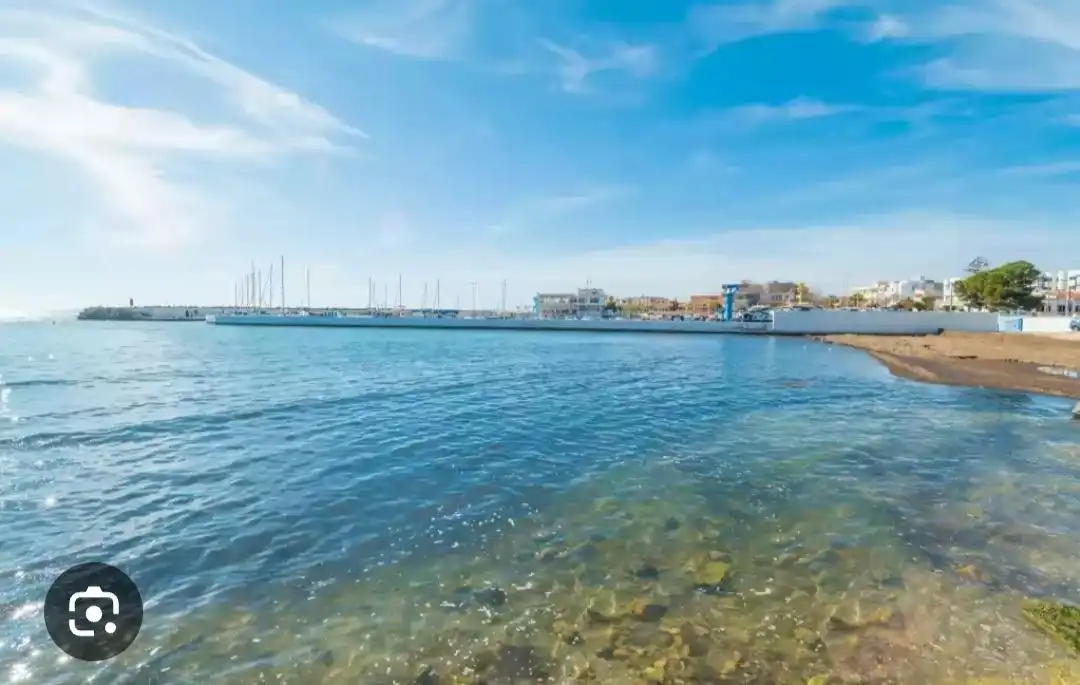Vista exterior de Casa o xalet de lloguer en  Palma de Mallorca amb Aire condicionat, Calefacció i Jardí privat