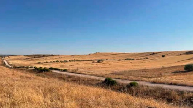 Residential for sale in Paracuellos de Jarama