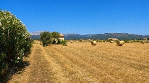 Finca rustica en venta en SA POBLA, immagine 2