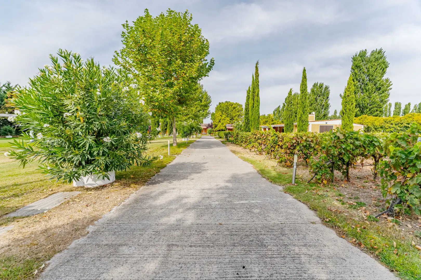 Vista exterior de Finca rústica en venta en Laguna de Duero con Aire acondicionado, Calefacción y Jardín privado
