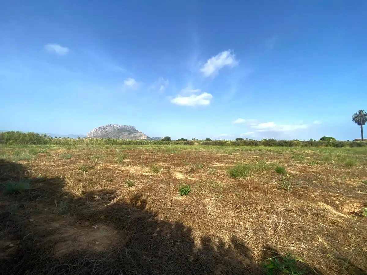 Lands and plots for sale in Els Poblets, imagen 9