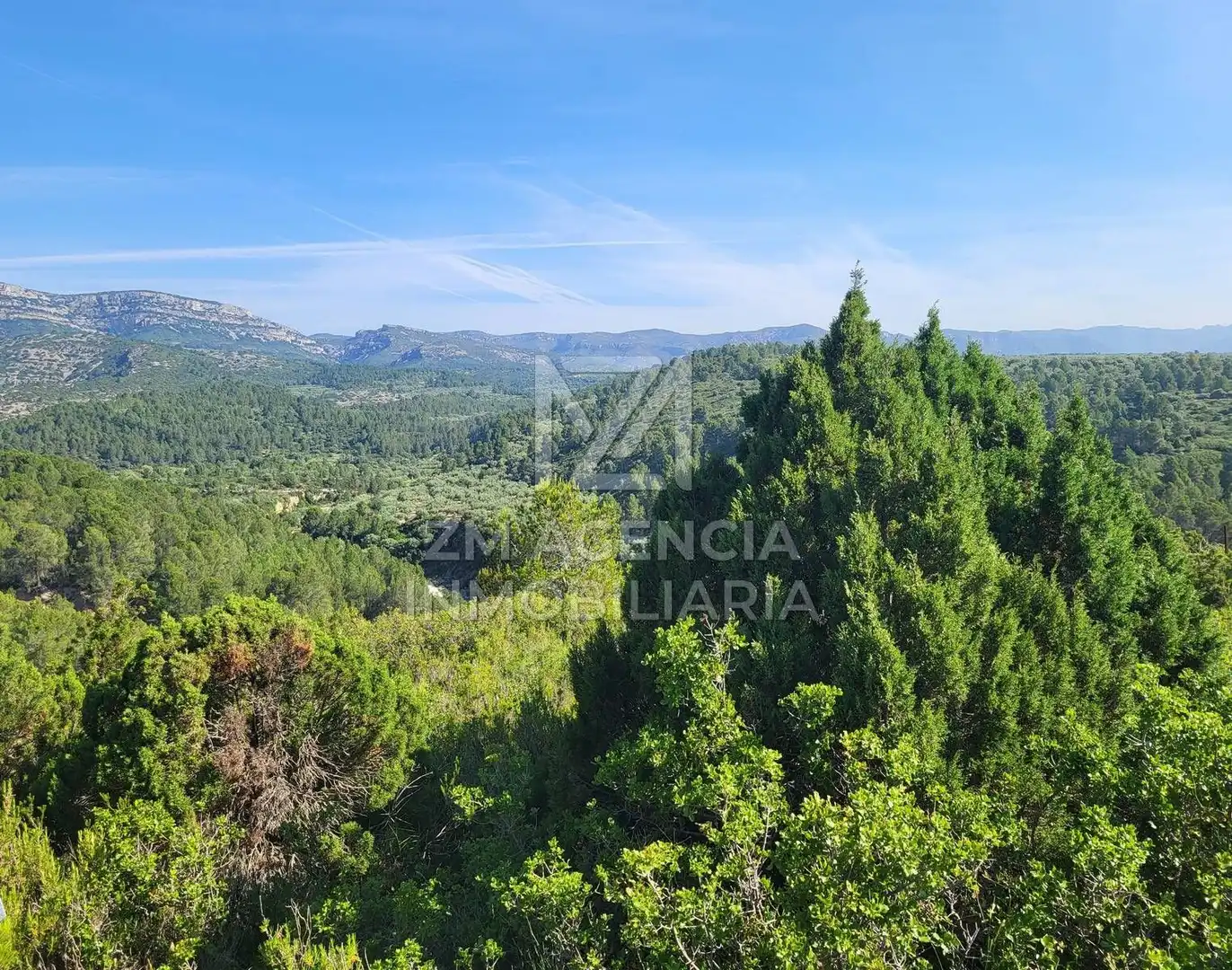 Terreno rustico in vendita a Canet lo Roig, imagen 5