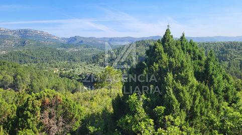 Foto 5 de Terreno en venta en Canet lo Roig, Castellón