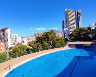 Piscina de Pis de lloguer en Benidorm amb Calefacció, Forn i Rentadora