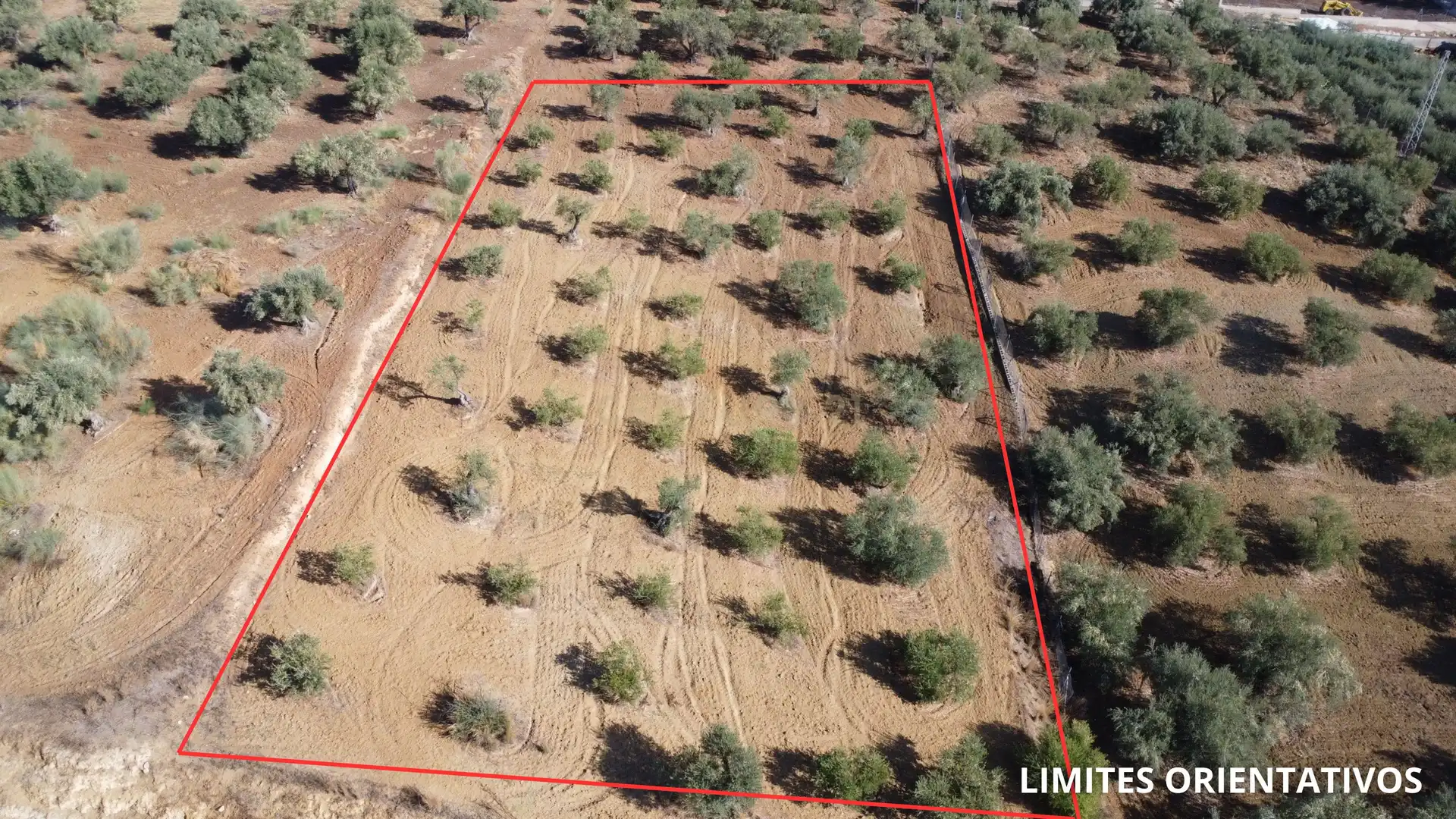 Rural land for sale in Camino la Ramita, Alhaurín de la Torre, Málaga, Spain, imagen 3