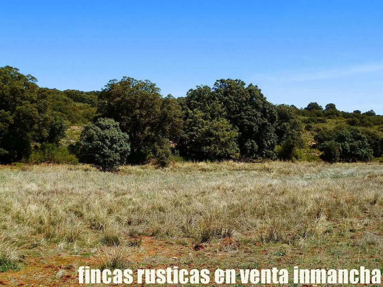 Lands and plots for sale in Ossa de Montiel, imagen 8