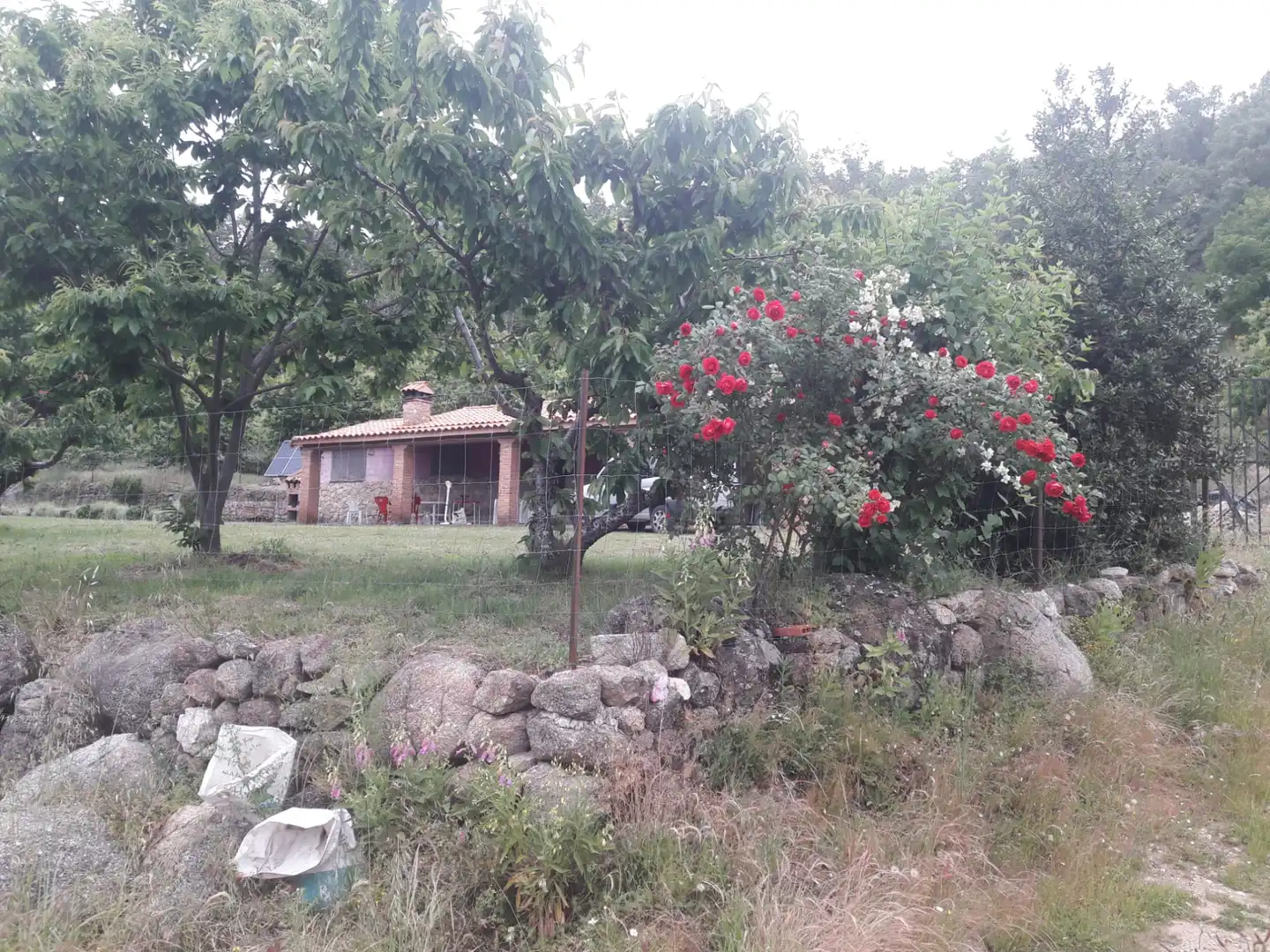 Country homes for sale in Guijo de Santa Bárbara