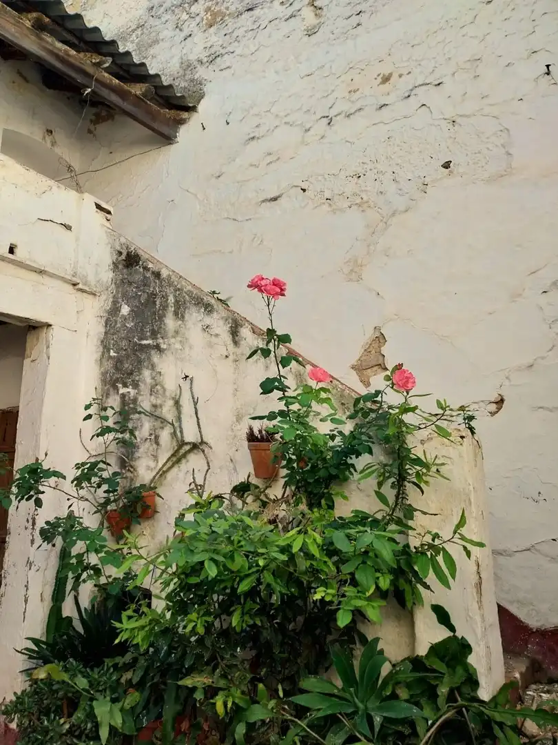 Vista exterior de Casa o chalet en venta en Carmona