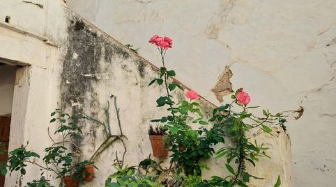 Photo 2 of Houses for sale in Carmona, Sevilla