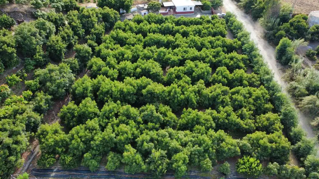 Casa o xalet en venda en Benamocarra amb Jardí privat i Moblat