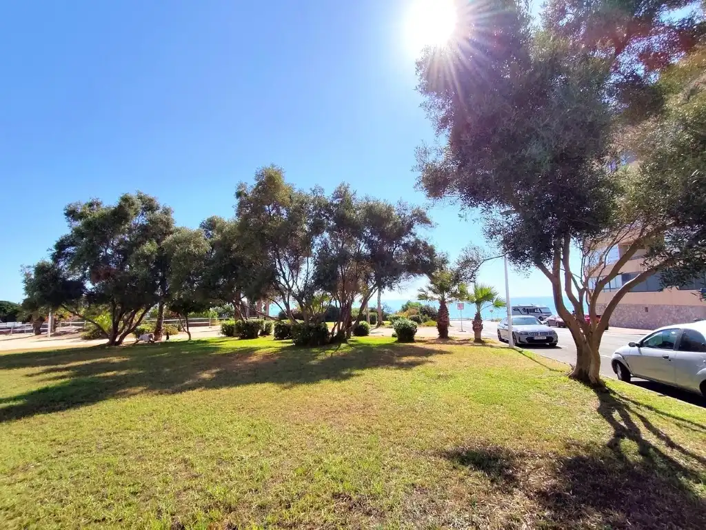 Vista exterior de Apartament en venda en Torrevieja amb Rentadora