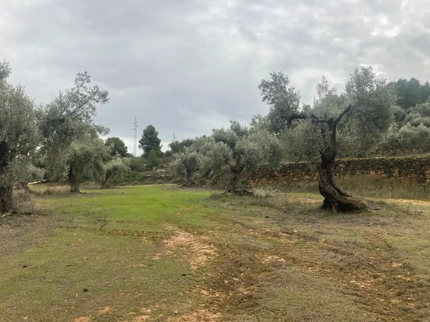 Terreni e lotti in vendita a Valderrobres