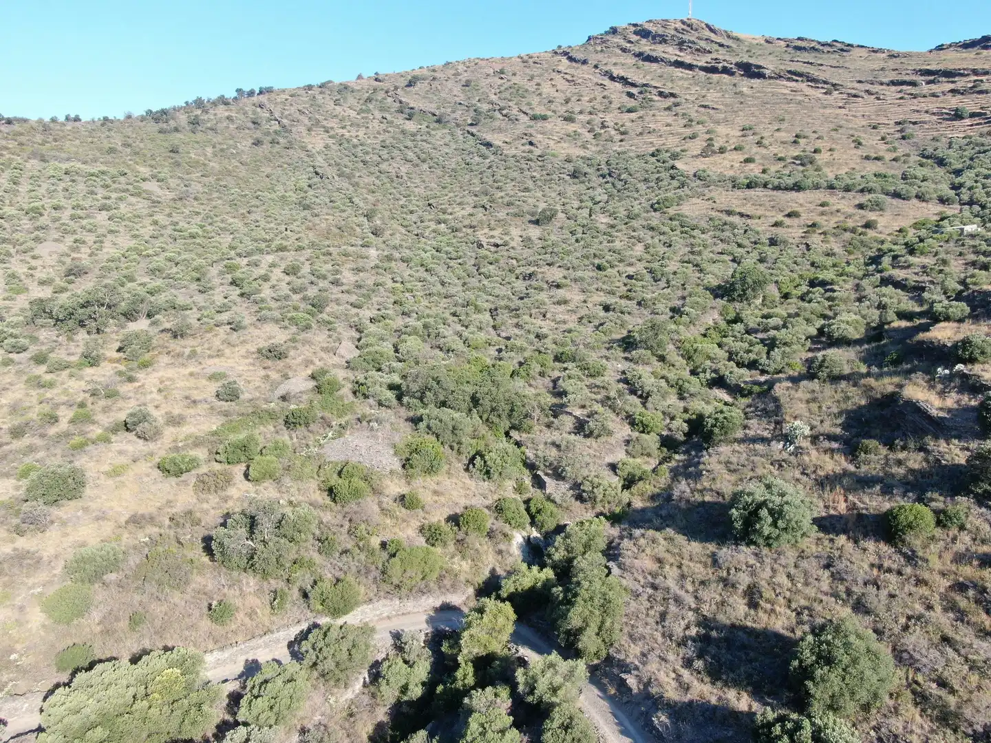 Lands and plots for sale in Ses Closes, imagen 2