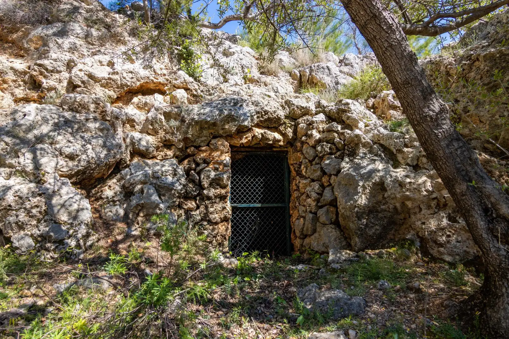 Vista exterior de Terreno en venta en Sóller