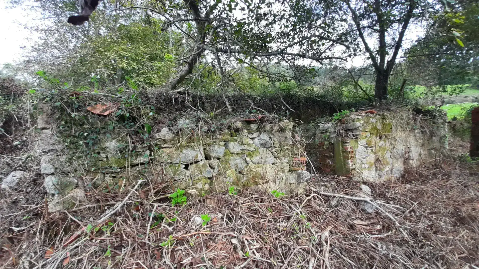 Terreno rustico in vendita a N/A, imagen 4