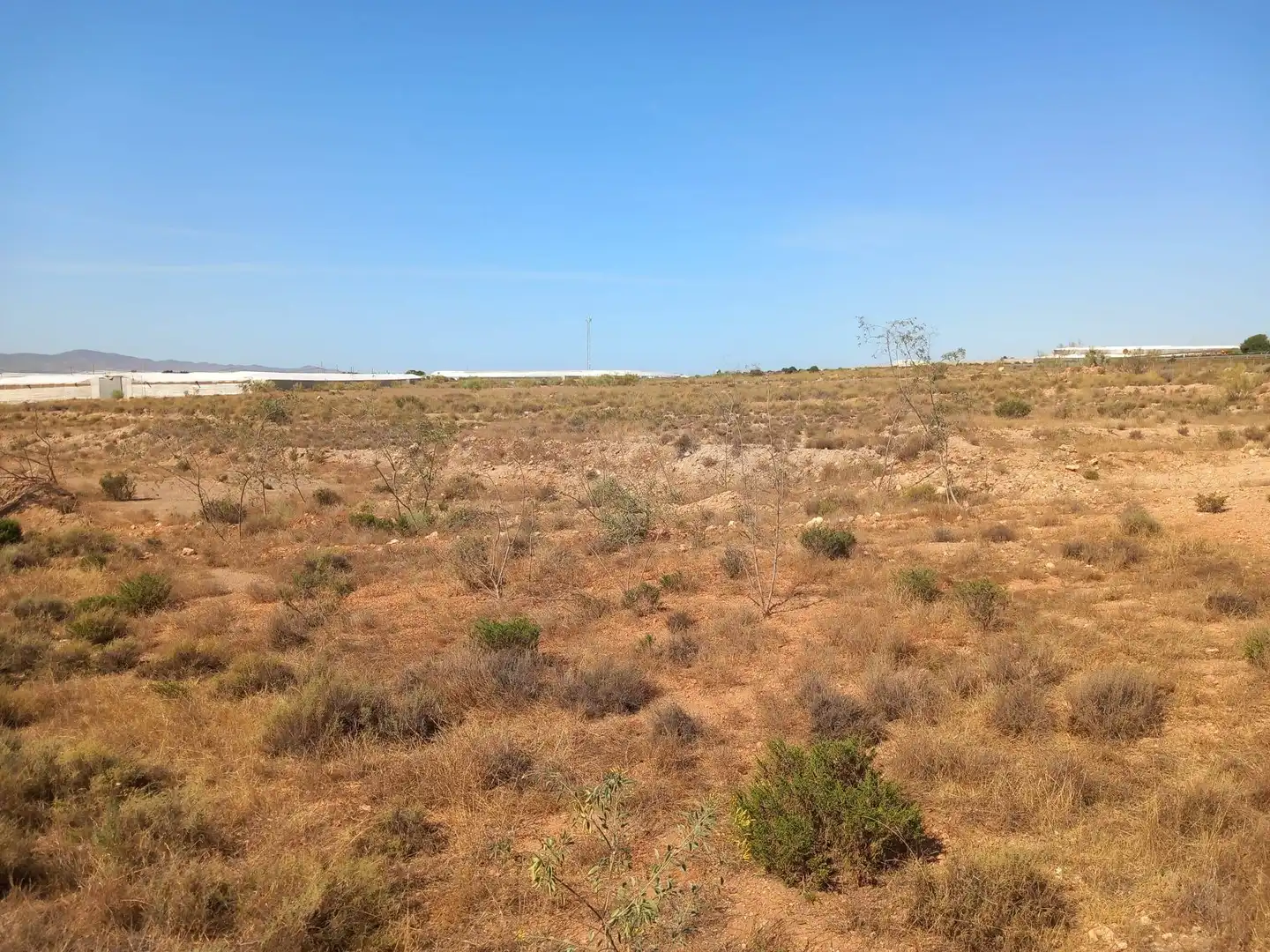 Terreny rústic en venda a San Isidro - Campohermoso, imagen 19