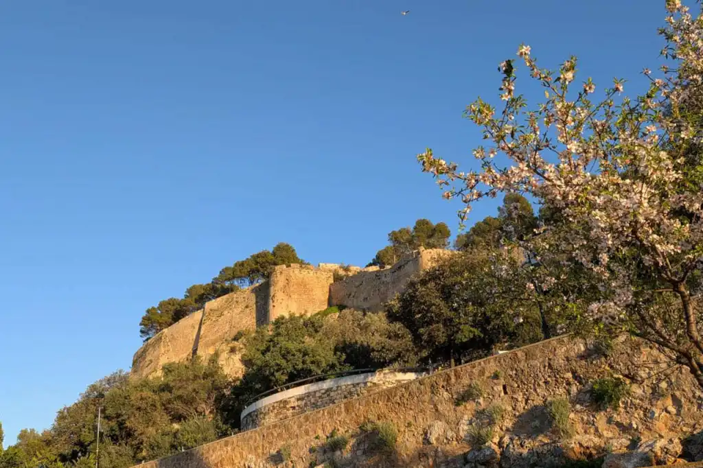 Vista exterior de Apartamento en venta en Dénia con Terraza
