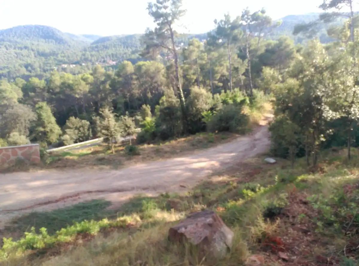 Terreni e lotti in vendita a Corbera de Llobregat, imagen 8