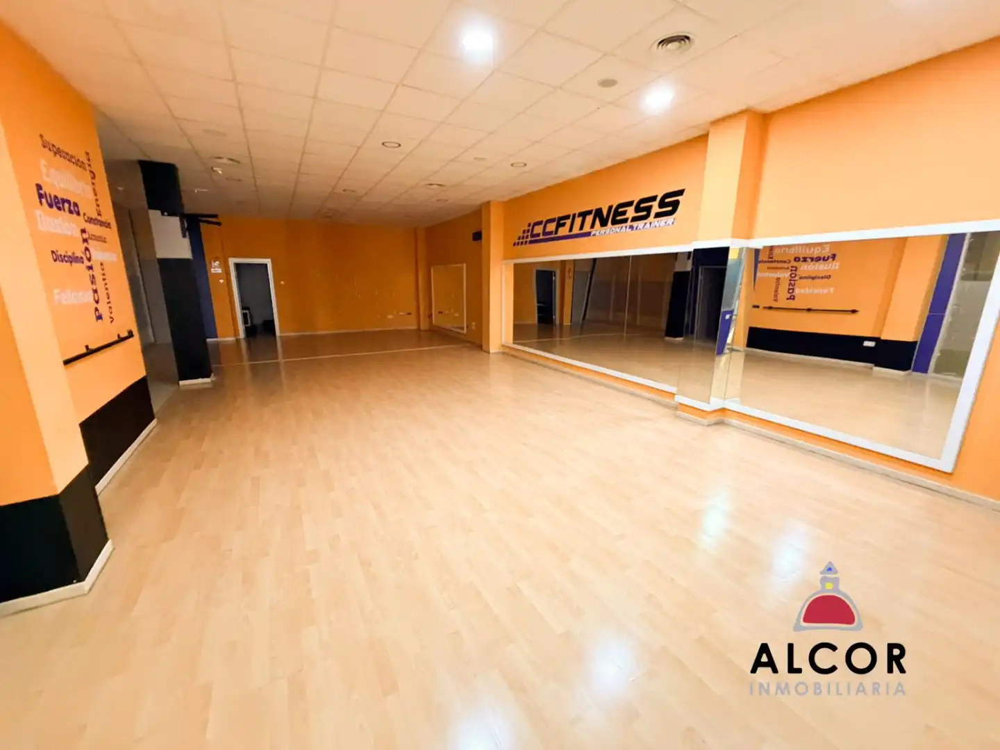Commercial properties for rent in Puerto