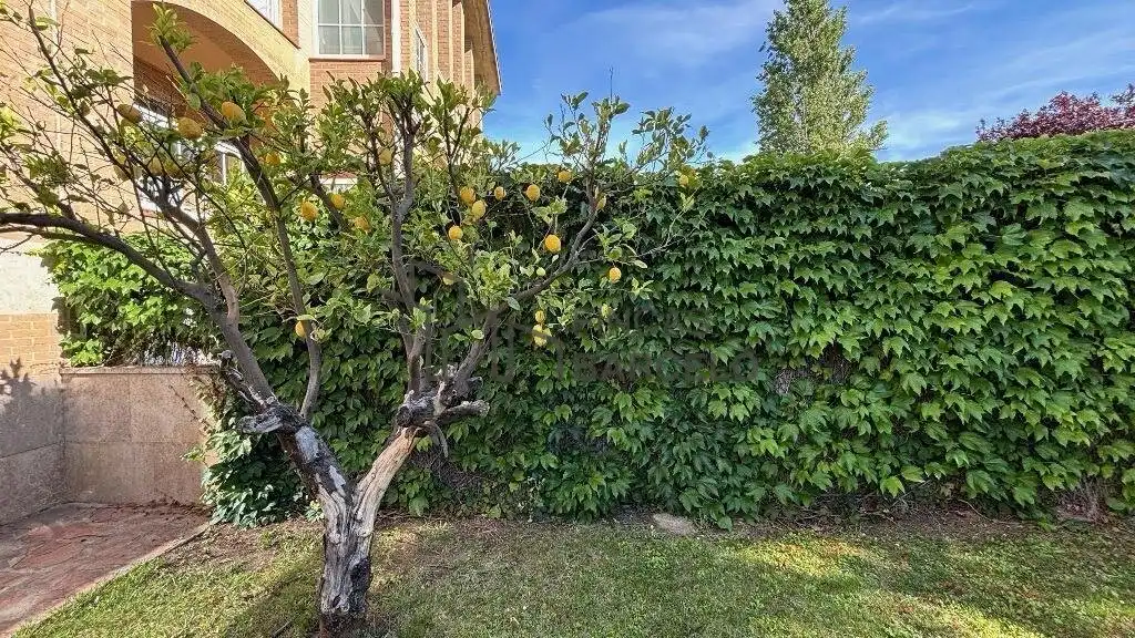 Casa adosada en venta en Casablanca