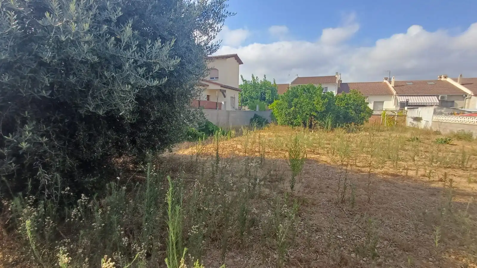 Terreny residencial en venda a Creixell, imagen 2