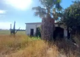 Terreno rústico en venta en Sitio las Algandaras, imagen 6