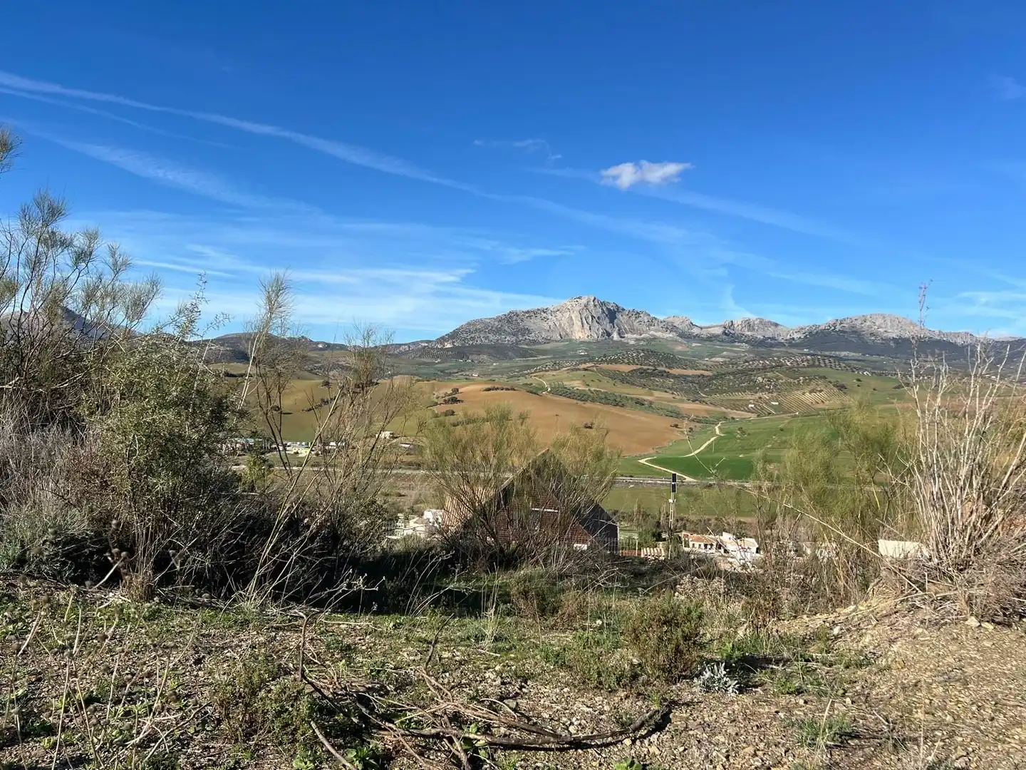 Terrenos y solares en venta en Camino POLIGONO 7 PARCELA 16 16 16, imagen 3