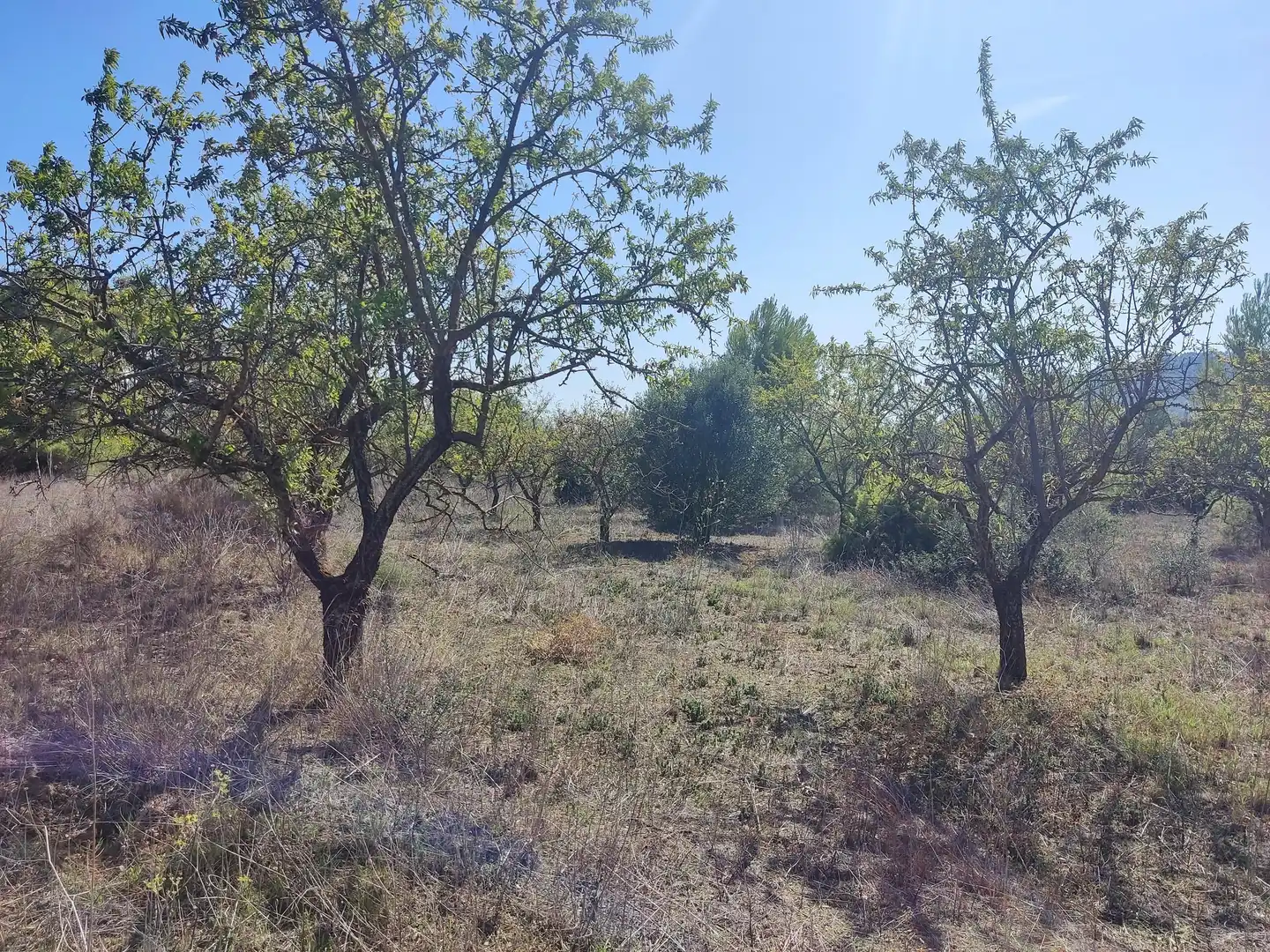 Rural land for sale in Horta de Sant Joan, imagen 6
