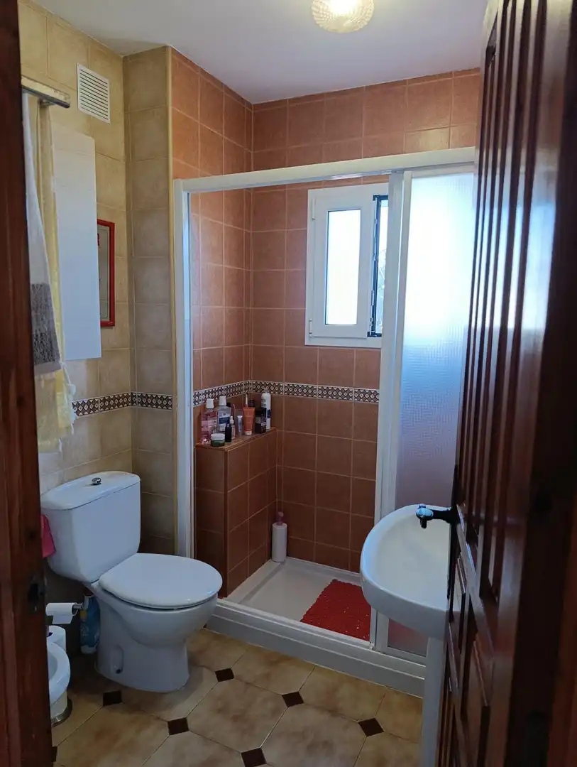 Detached house with terrace for sale in El Palmeral, imagen 8