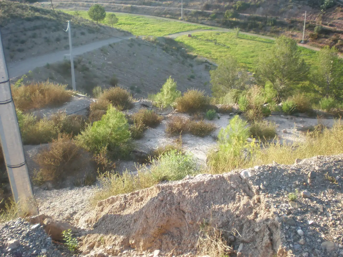 Terreno rustico in vendita a Pedanías Norte