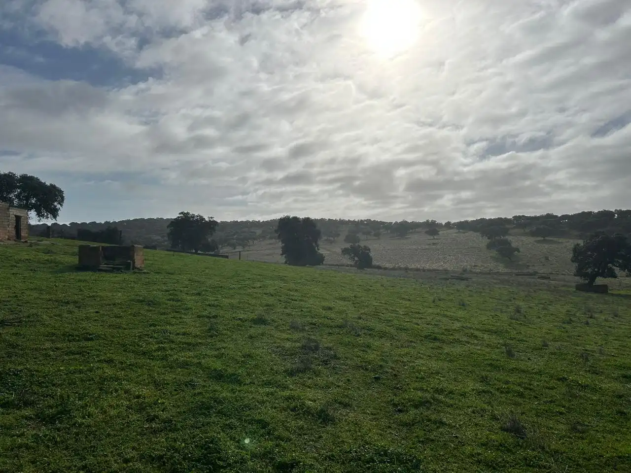 Lands and plots for sale in *, imagen 4
