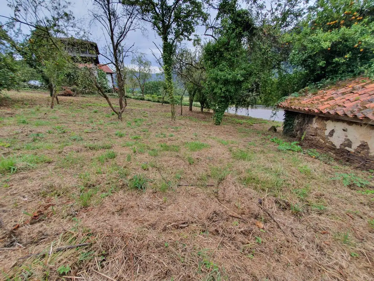 Casa o xalet en venda en Salas amb Jardí privat i Terrassa