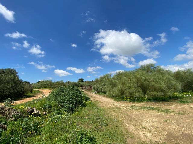 Terreno en Venta en El Juncal - Vallealto