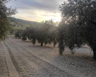 Land for sale in Doña Mencía