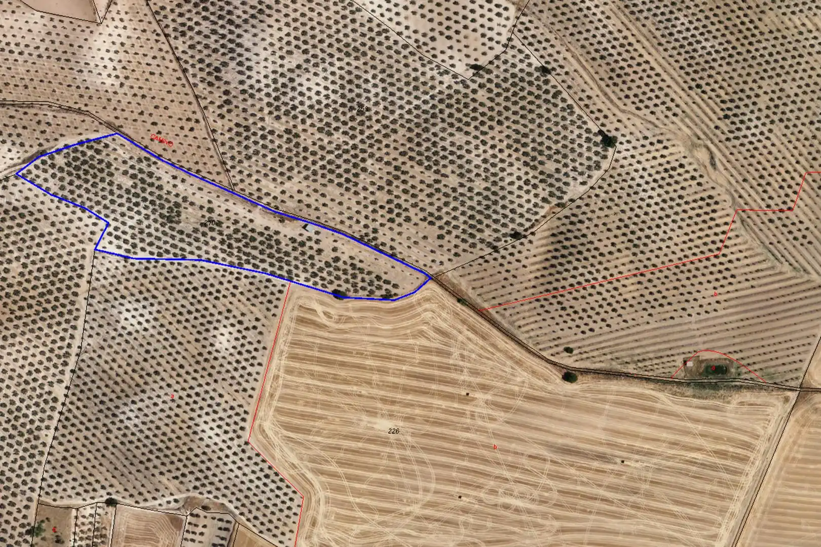 Terreni e lotti in vendita a LLANO SALVIAR Polígono: 13, Parcela: 209 y 277, imagen 8
