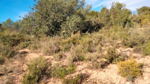 Photo 3 of Land for sale in Casinos, Valencia