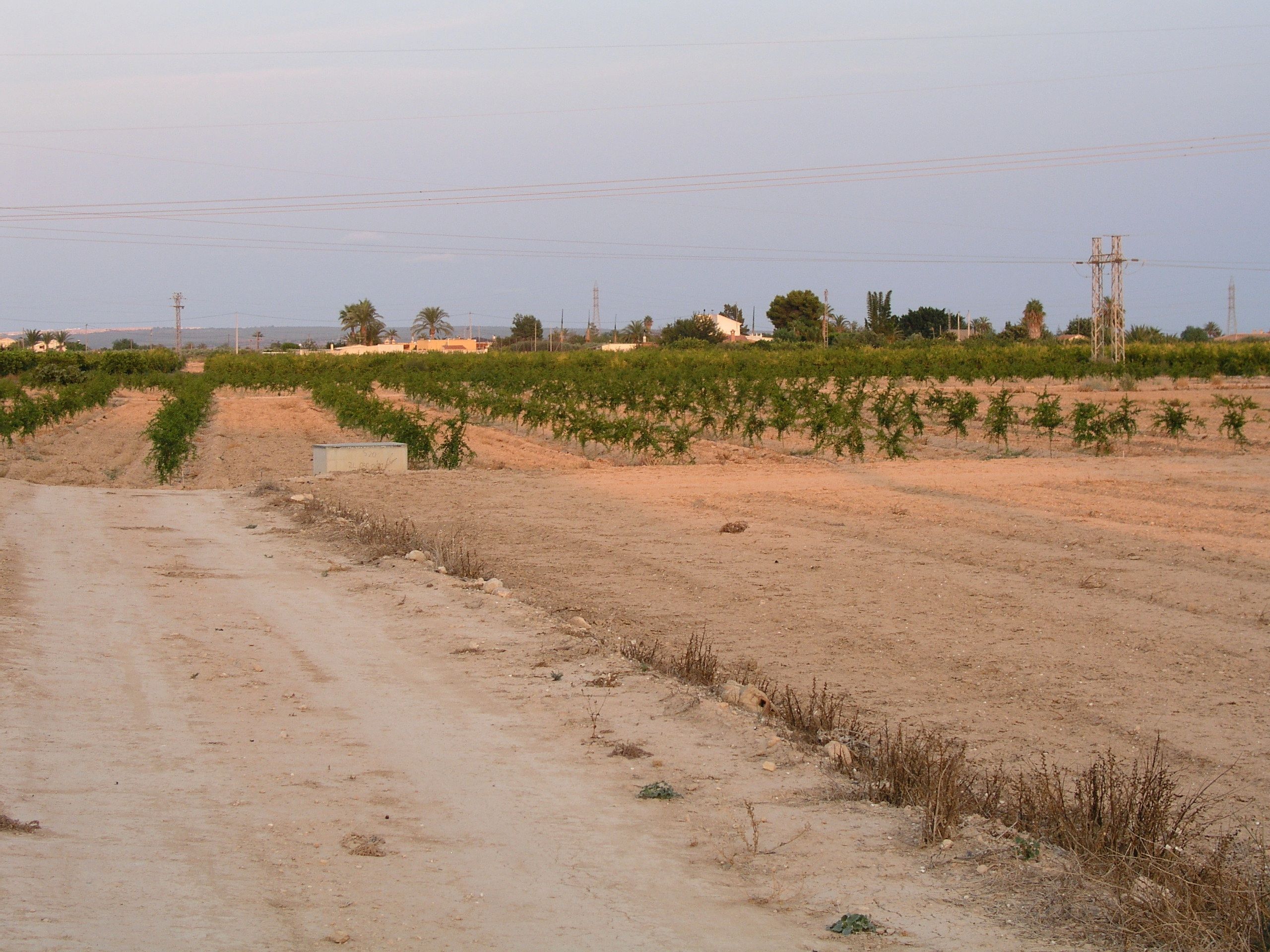 Residential for sale in Elche / Elx